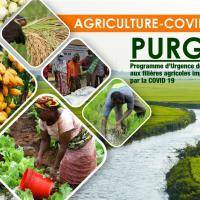 AGRICULTURE-COVID-19 PURGA : PROGRAMME D’URGENCE DE SOUTIEN AUX FILIÈRES AGRICOLES IMPACTÉES PAR LA COVID 19