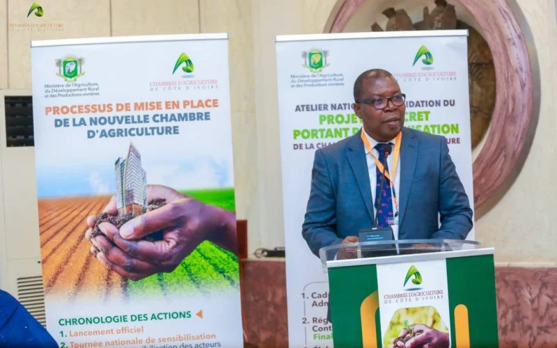 🛑RÉORGANISATION DE LA Chambre d'Agriculture De CI : le Gouvernement réaffirme son engagement à installer la nouvelle institution avant la fin de l'année 2026